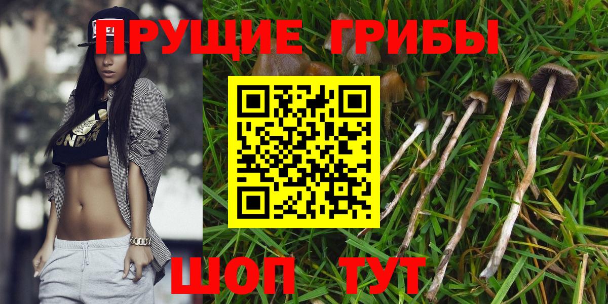 Мыски  Псилоцибиновые грибы мухоморы  Псилоцибиновые грибы Psilocybine cubensis  Вход с VPN 